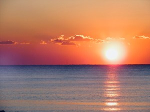 77CF94DB-9987-47B6-9D01-D1038D9C2BB8