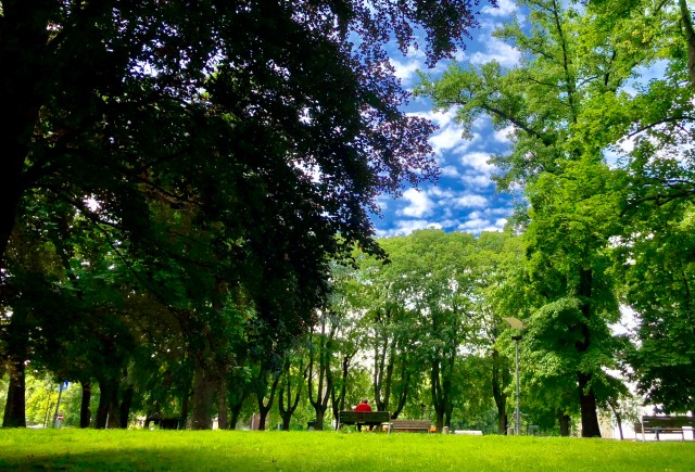 067F8B60-1CD7-4C82-BF13-91EAAE00D874